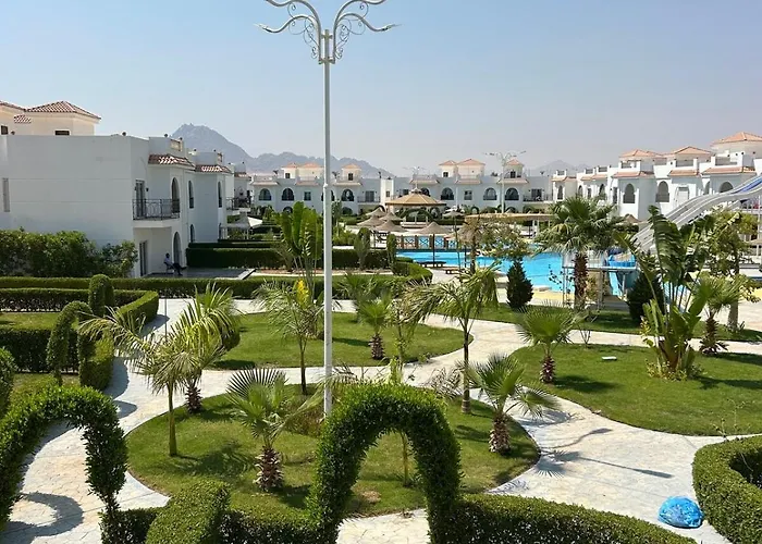 Downtown Elsheikh Daire